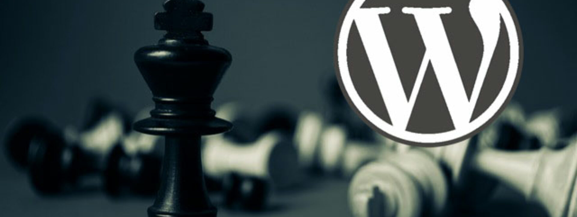 CMS Face Off: WordPress