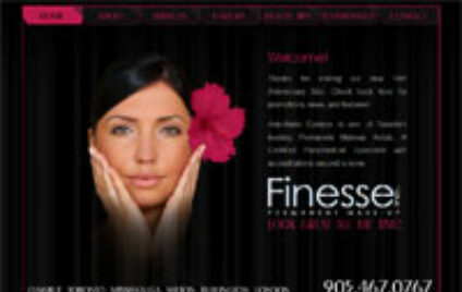 Finesse Permanent Makeup Home